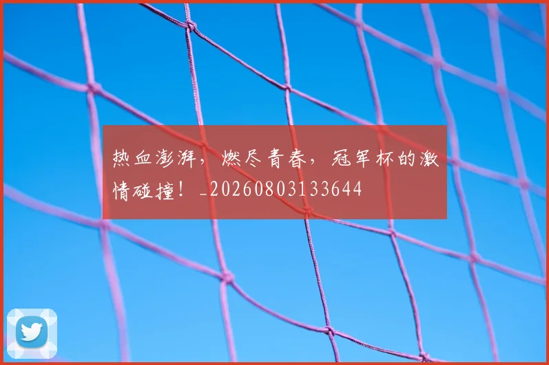 热血澎湃，燃尽青春，冠军杯的激情碰撞！_20260803133644