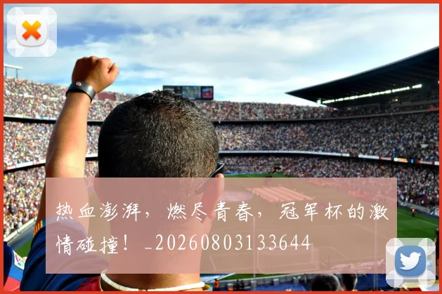 热血澎湃，燃尽青春，冠军杯的激情碰撞！_20260803133644