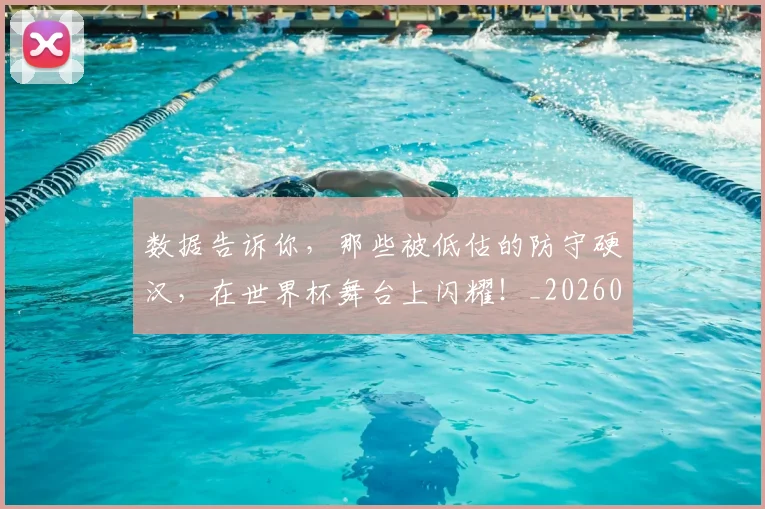 数据告诉你，那些被低估的防守硬汉，在世界杯舞台上闪耀！_20260707020406_20260801175602