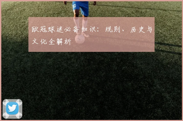 欧冠球迷必备知识:规则、历史与文化全解析