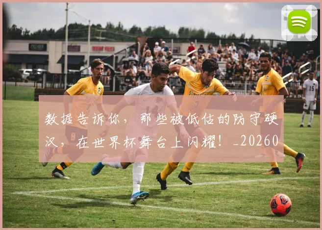 数据告诉你,那些被低估的防守硬汉,在世界杯舞台上闪耀!_20260731165620