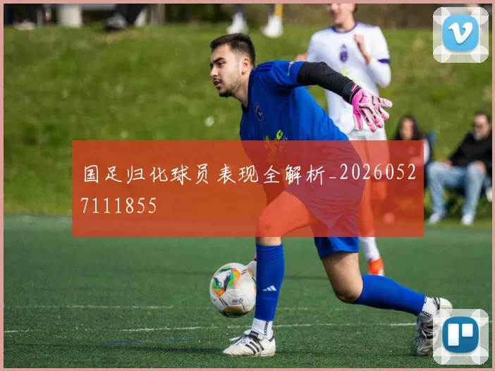 国足归化球员表现全解析_20260527111855