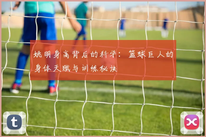 姚明身高背后的科学:篮球巨人的身体天赋与训练秘诀